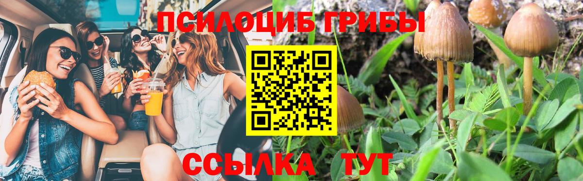 Усолье-Сибирское  Псилоцибиновые грибы ЛСД  Вход с VPN 