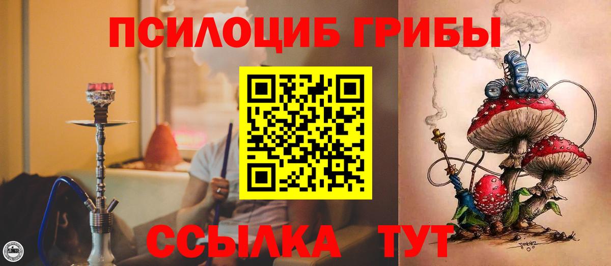 Псилоцибиновые грибы Psilocybe Усолье-Сибирское